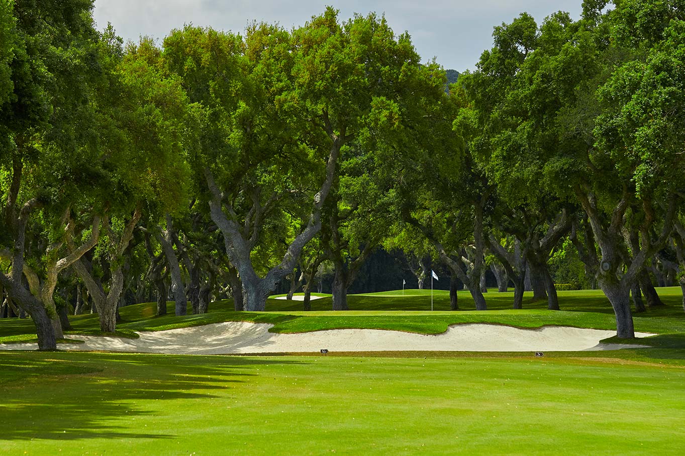 Hole 8 - Real Valderrama Golf Club